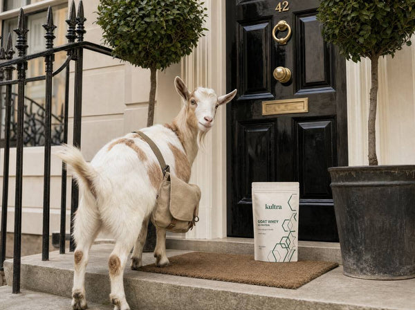 The kultra delivery goat waiting at a London doorstep with a pouch on the doormat