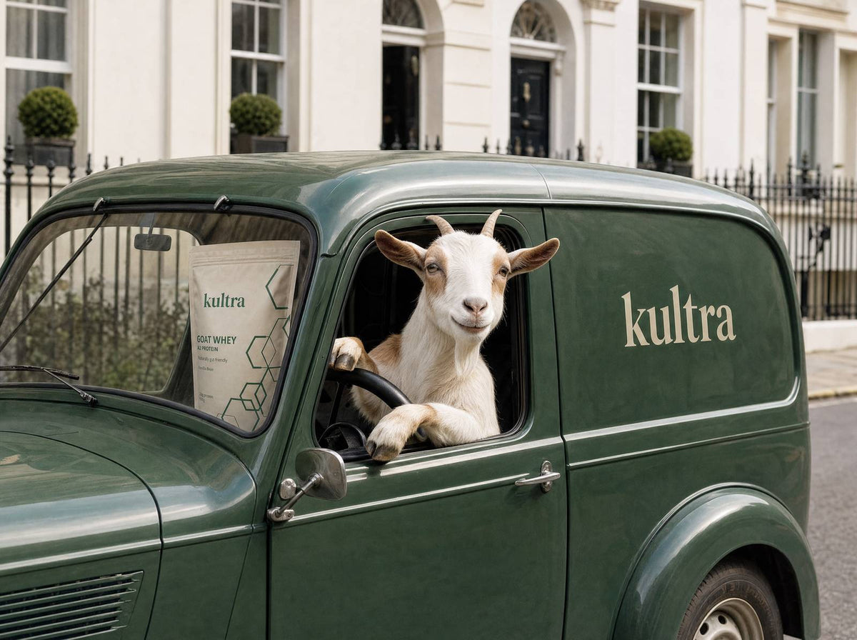 A goat driving a green kultra delivery van down a London street, with the pouch on the dashboard